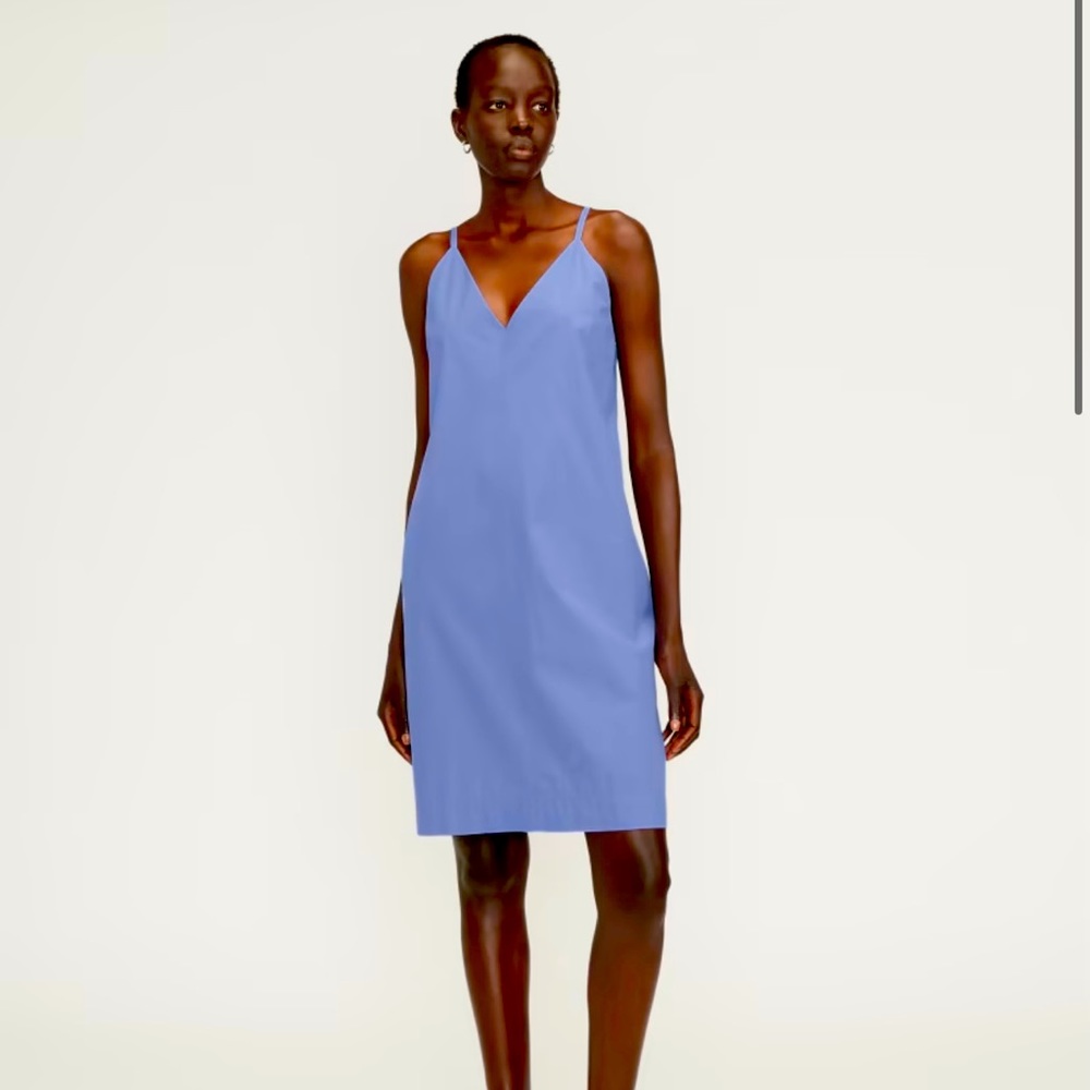 Everlane poplin dress